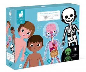 4 Quebra-Cabeas Educacionais O Corpo Humano