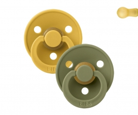2 Succhietti BIBS Colour Round Honey Bee/Olive