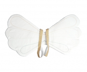 Ailes Arc-en-ciel