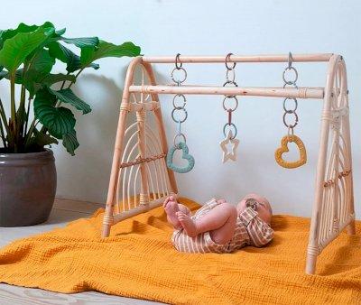 Dentarello BIBS Baby Bitie Star Blush