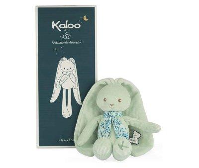 Brinquedo Peluche Aqua Rabbit Pequeno Personalizvel
