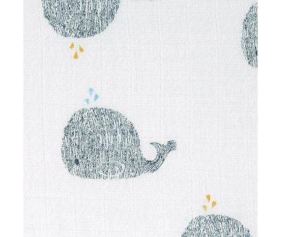3 Muselinas Water Whale