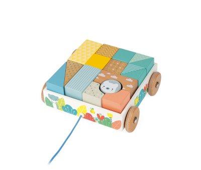 Mini Carrinho com cubos para caminhar