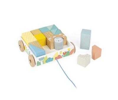 Mini Carrinho com cubos para caminhar