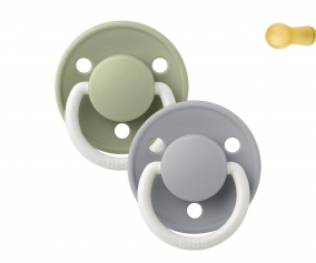 2 Succhietti Notturni BIBS De Lux Sage/Cloud