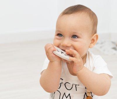 Silicone Teether Milo The Dog Gray