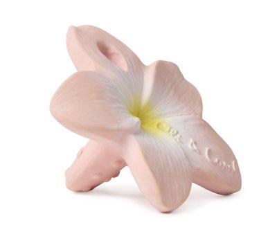 Mini Flower Latex Teether Oli&Carol Bella The Flower