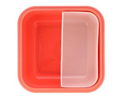 Caja Almuerzo Grande Little Garden