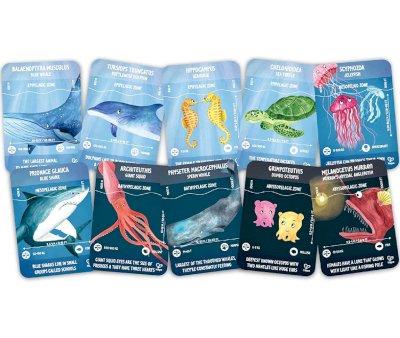 Puzzle Ocan fluorescent