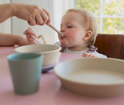 Set 2 Cucchiai BIBS Blush