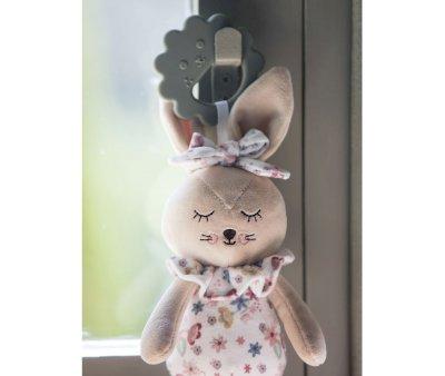 Peluche con Dentarello Coniglio Garden