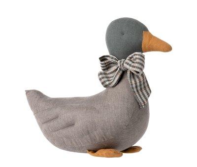 Pato Gris