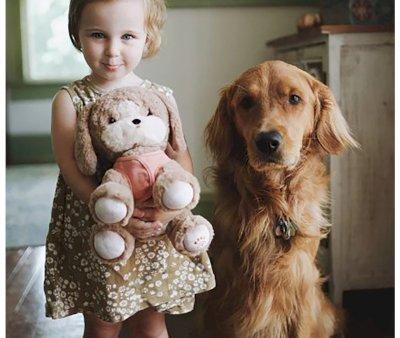 Peluche Dinkum Dog Honey