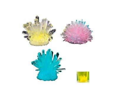 Seeds Crystal Growing - Gioco Didattico