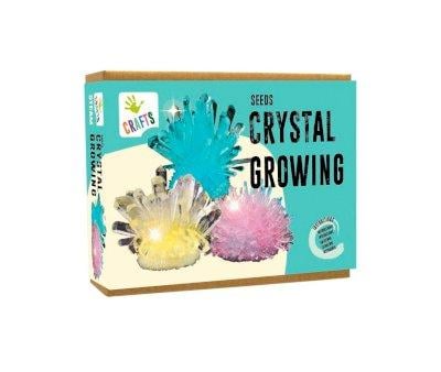Seeds Crystal Growing - Gioco Didattico