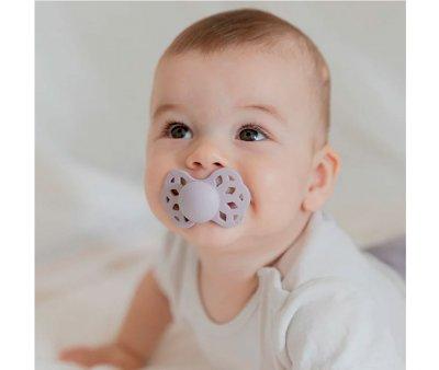 2 Succhietti BIBS Infinity Blossom/Dusky Lilac Anatomica Silicone