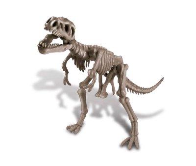 Kit de Paleontologa Esqueleto de Tiranosaurio Rex