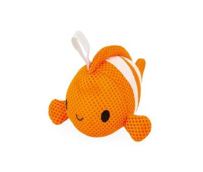 ponge marine poissons