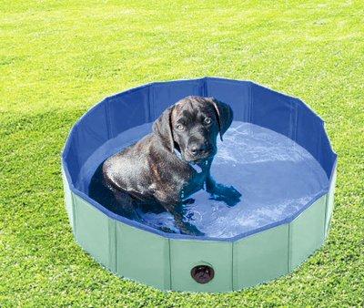Piscine Pliable pour Chiens Vert Menthe