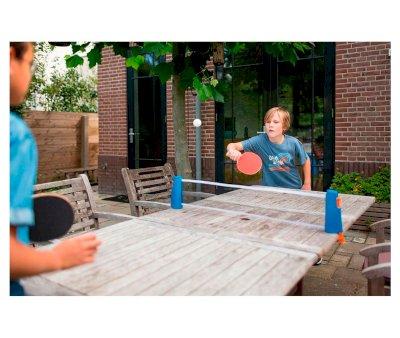 Table Tennis Game