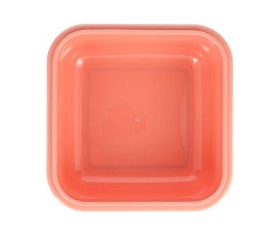 Caja Almuerzo Grande Wild Fairies