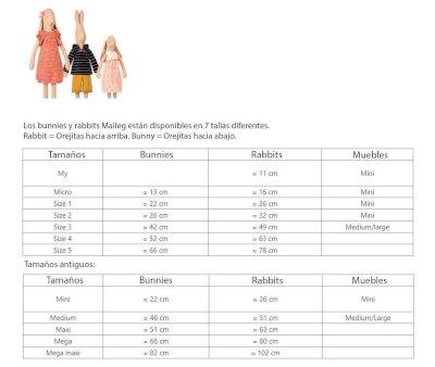 Rabbit con Camisa y Pantaln Corto Marrn T1