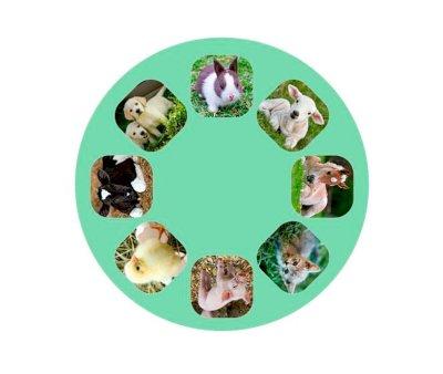 Linterna Proyector Animales Bebs