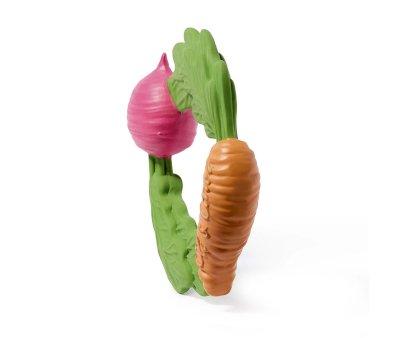 Veggie Ring Teether
