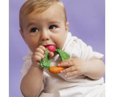 Veggie Ring Teether