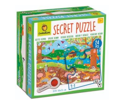Secret Puzzle Up and Down