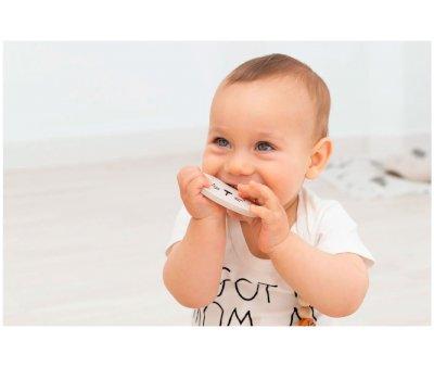 Dentarello Silicone Alfie the Lion Jade