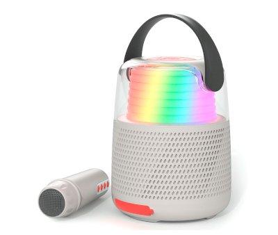 Altoparlante Bluetooth e Karaoke KS-80 Grigio
