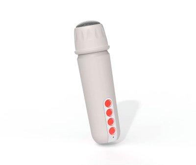 Altoparlante Bluetooth e Karaoke KS-80 Grigio