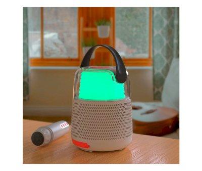 Altoparlante Bluetooth e Karaoke KS-80 Grigio