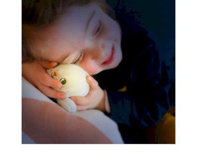 Mini Peluche Luminoso Foca
