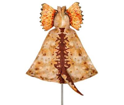 Costume Dilophosaurus 4-7 anni