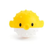 Animali Marini Spruzza Acqua