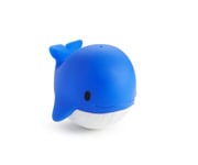 Animali Marini Spruzza Acqua