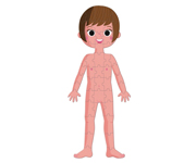 4 Puzles Educativos El Cuerpo Humano