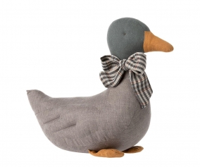 Pato Gris