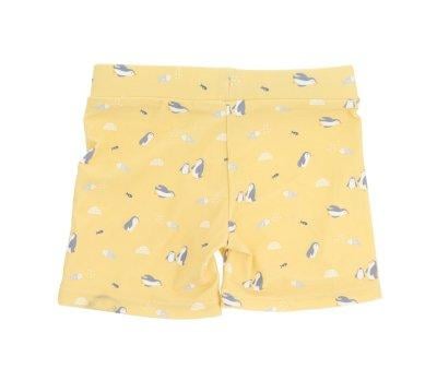 Swim Trunks Penguins
