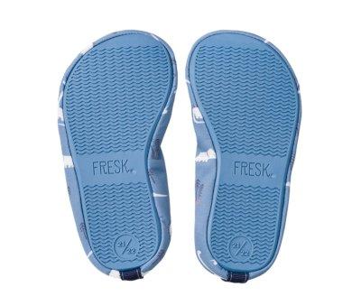 Dinosaur Swim Shoes