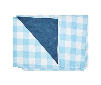 Beach and Picnic Blanket Blueberry Vichy L