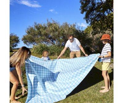 Beach and Picnic Blanket Blueberry Vichy L