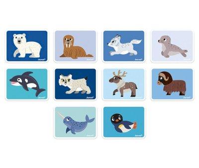 MagnetiBook Animales Polares