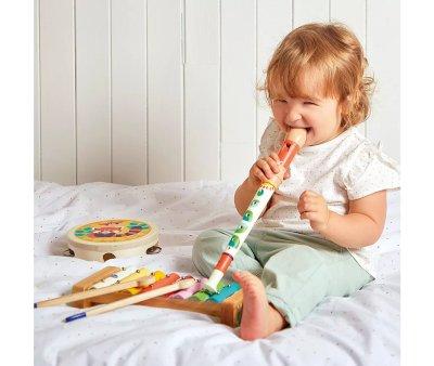 Gioia Musical Instrument Set