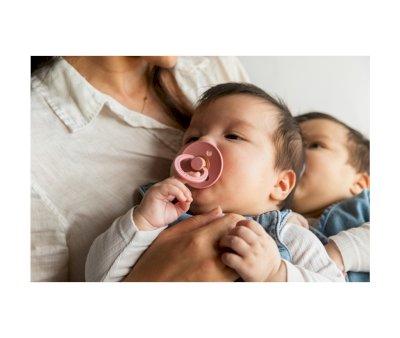 Sucette BIBS Colour Blush