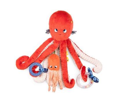 Large Activity Octopus The Adventures of Paulie