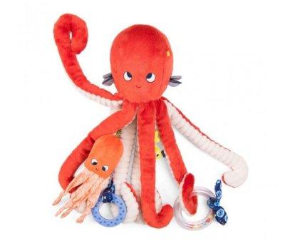 Large Activity Octopus The Adventures of Paulie