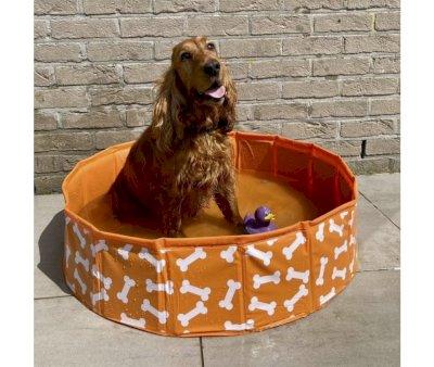 Piscina Pieghevole per Cani Ossa Arancio